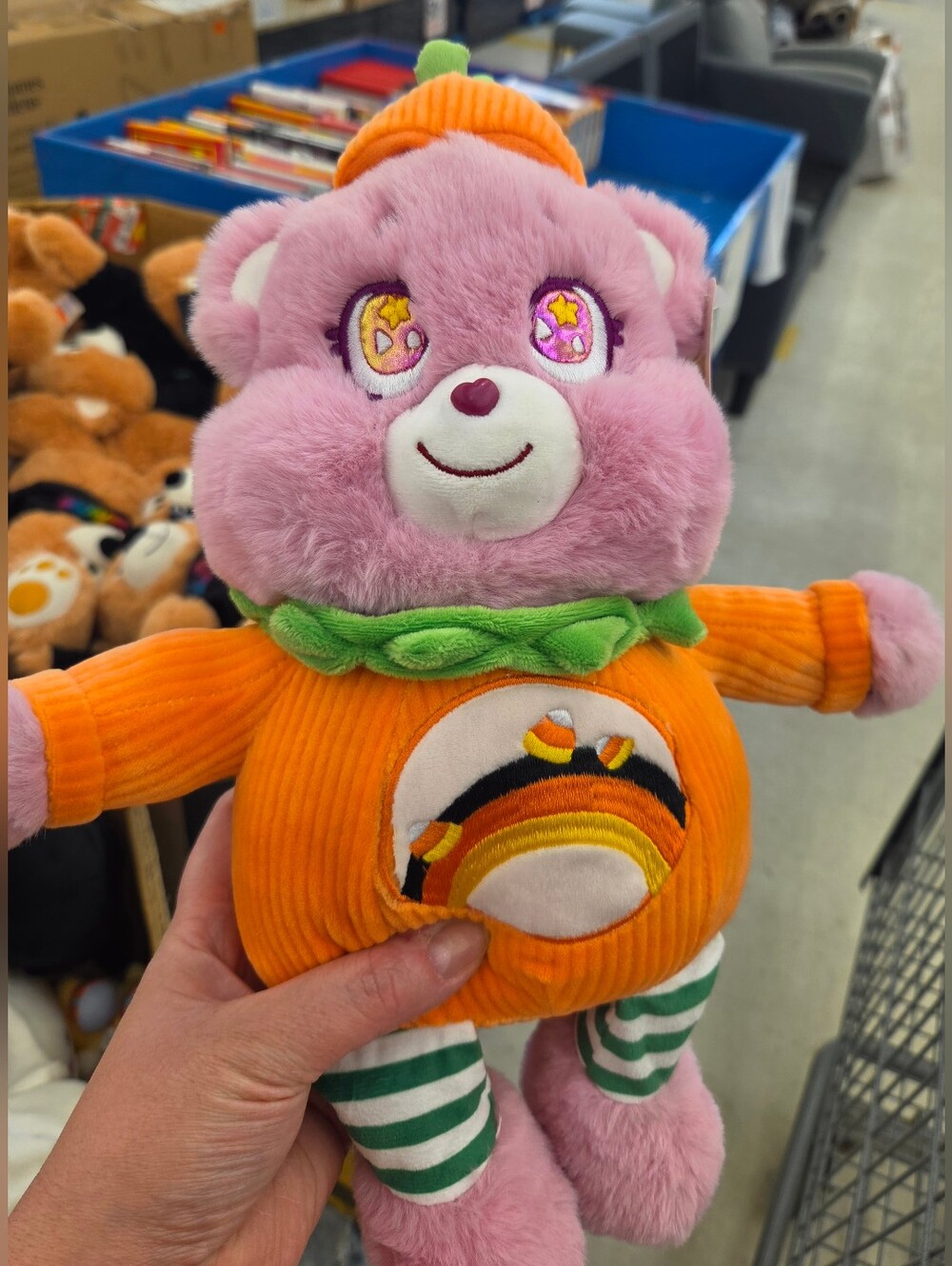 Care Bears Pink & Orange Pumpkin Patch Plush Halloween Stuffie Animal